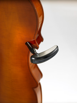 Eminence 5-String Fixed Neck Bass